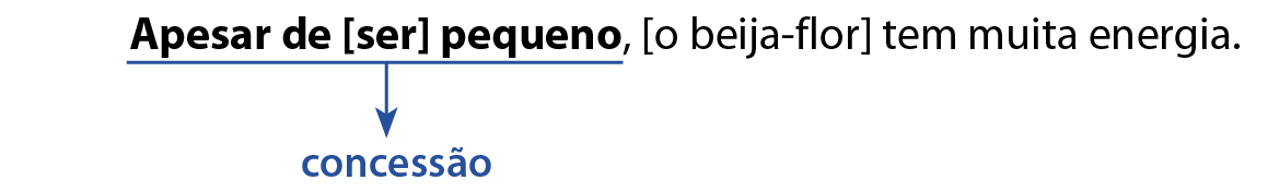 Esquema. Apesar de [ser] pequeno - concessão [o beija-flor] ten muita energia.
