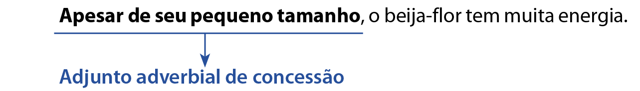 Apesar de seu pequeno tamanho, - adjunto adverbial de concessão o beija-flor tenm muita energia.