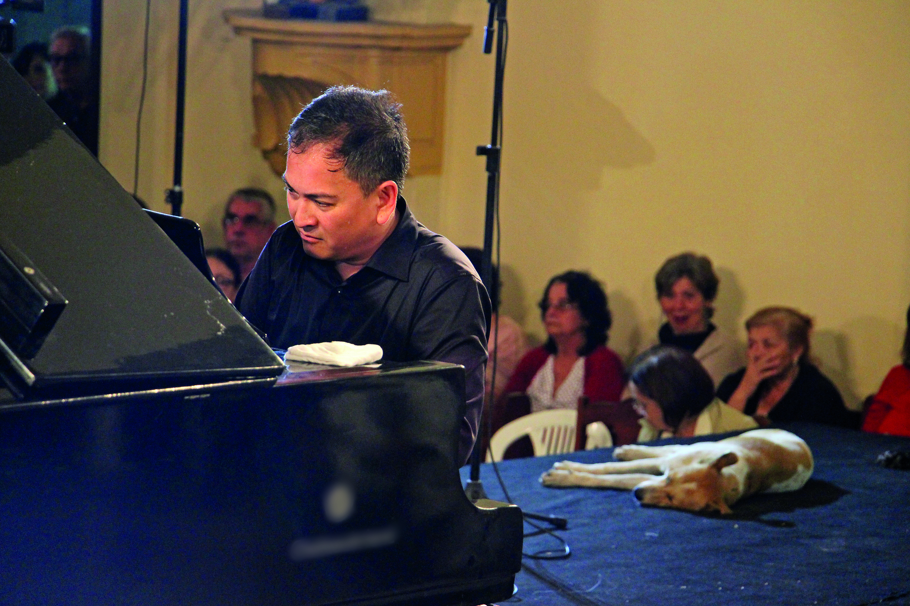 Fotografia. Apresentação musical. Um homem vestindo camisa preta está sentado, tocando um piano de cauda, que aparece parcialmente. Ao lado dele há uma cachorrinha de pelo branco e manchas castanhas deitada de lado. Ao fundo, algumas pessoas sentadas assistem à apresentação.
