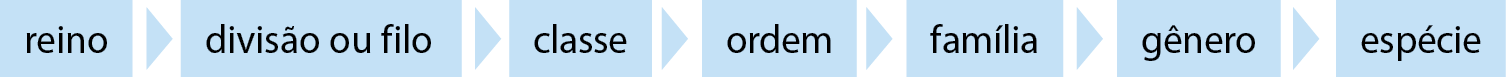 Ilustração. Fluxograma composto de figuras retangulares azuis-claras com uma palavra dentro de cada uma e figuras triangulares entre elas, como pontas de setas que indicam ordem descendente. Da esquerda para a direita: 'reino', 'divisão ou filo', 'classe', 'ordem', 'família', 'gênero', 'espécie'.