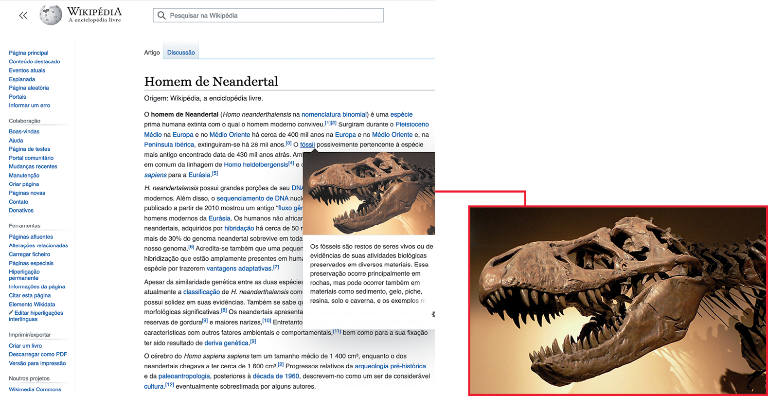 Fotografia. Reprodução de página de internet. Na parte superior, o título do site: 'WIKIPÉDIA'. Abaixo, o título do artigo: 'Homem de Neandertal'. Após o título, texto do artigo e fotografia do crânio de réptil pré-histórico de dentes pontiagudos, indicando tratar-se de um animal carnívoro; portanto, de um predador.