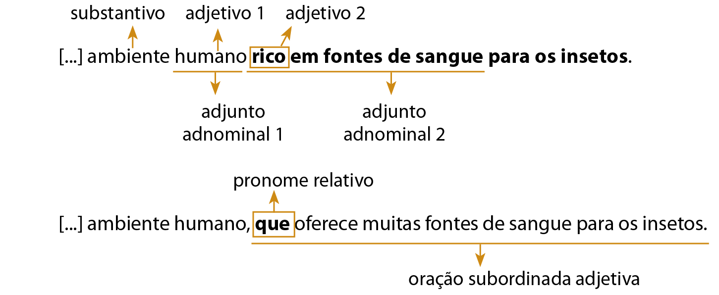 Esquema. [...] ambiente humano rico em fontes de sangue para os insetos.
Ambiente: substantivo
Humano: Adjetivo 1
Rico: Adjetivo 2
Humano: Adjunto adnominal 1
Rico em fontes de sangue: Adjunto adnominal 2
Esquema. [...] ambiente humano, que oferece muitas fontes de sangue para os insetos.
que: pronome relativo
que oferece muitas fontes de sangue para os insetos: oração subordinada adjetiva