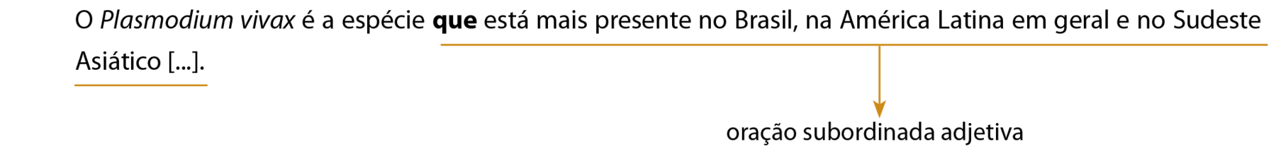 Esquema. O Plasmodium vivax é a espécie que está mais presente no Brasil, na América Latina em geral e no Sudeste Asiático [...].

que está mais presente no Brasil, na América Latina em geral e no Sudeste Asiático: oração subordinada adjetiva