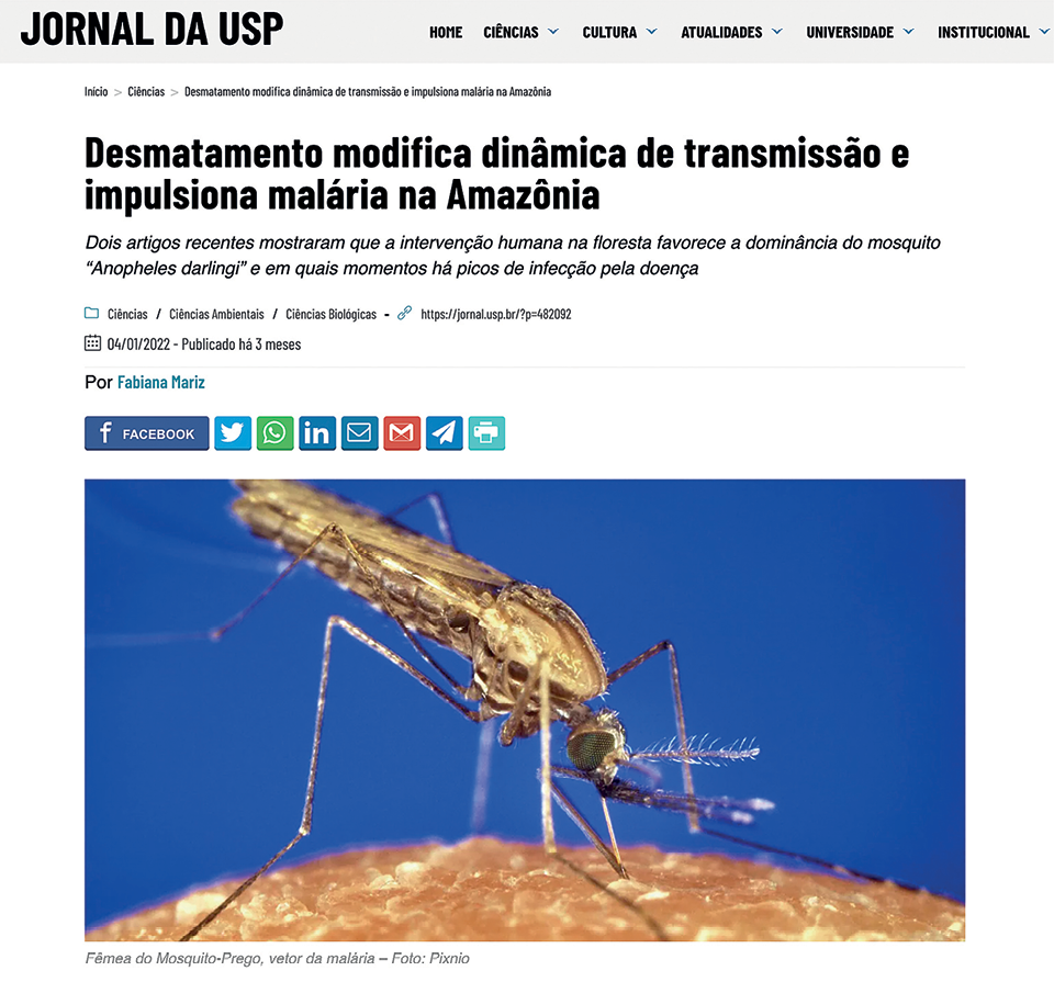 Reprodução de página da internet. Na parte superior, o título do site: 'JORNAL DA USP'. Abaixo, o título da reportagem: 'Desmatamento modifica dinâmica de transmissão e impulsiona malária na Amazônia'. Na parte inferior, fotografia muito ampliada de um mosquito da espécie que transmite essa doença está pousado em uma superfície semelhante à pele humana.