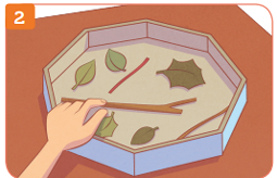 Imagem: Ilustração 2. Destaque de uma das mãos dispondo os gravetos e as folhas em uma caixa de pizza. Fim da imagem.