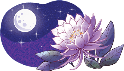 Imagem: Ilustração. Uma flor à direita de pétalas lilás e folhas verdes perto dela. Na parte superior, céu noturno em azul com estrelas pequenas e lua redonda branca.  Fim da imagem.