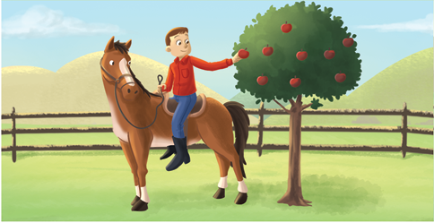 Imagem: Q5- Um homem de pele clara, cabelos castanhos, com blusa de mangas compridas em vermelho, calça azul e botas pretas, sobre cavalo marrom. Ele está com o braço direito esticado para maçã em árvore com folhas verdes.  Fim da imagem.