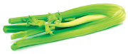 Fotografia. Vegetal com hastes de cor verde.