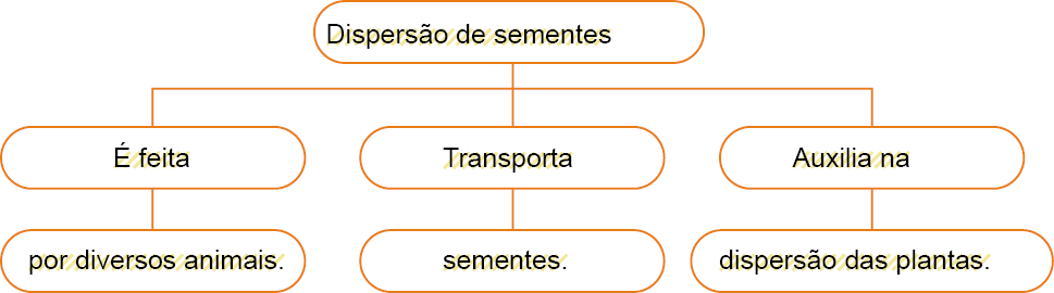 Imagem: Esquema. Dispersão de sementes É feita por diversos animais.  Transporta sementes.  Auxilia na dispersão das plantas. Fim da imagem.