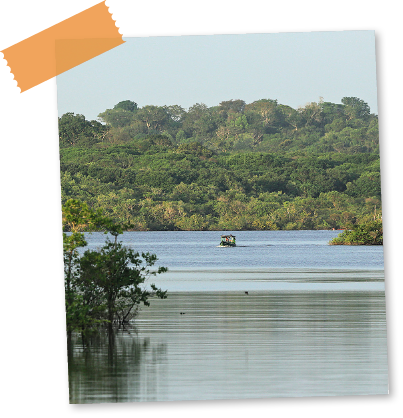 Imagem: Fotografia. À frente, local com água de cor escura e ao fundo, pequena embarcação. Em segundo plano, grande quantidade de vegetação de cor verde. Na parte superior, céu de cor azul-claro.  Fim da imagem.