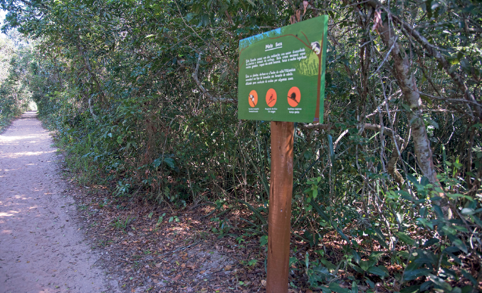 Imagem: Fotografia. À esquerda, caminho na vertical de cor cinza-claro e à direita, local com árvores finas secas e folhas verdes. À frente, sobre um pedaço de madeira na vertical, com placa quadrada de cor verde, com texto branco e símbolos redondos vermelhos.  Fim da imagem.