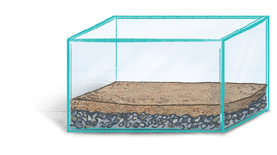 Imagem: Ilustração. Um aquário transparente com os contornos em azul. Dentro dele, pedras cinzas e sobre as pedras, areia de cor bege-claro.  Fim da imagem.