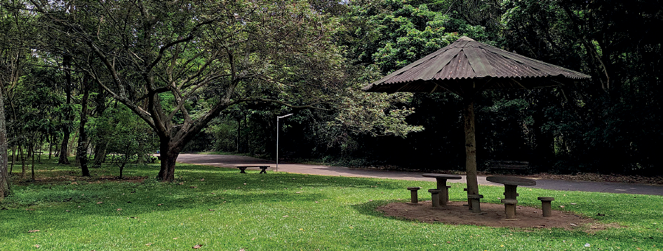 Imagem: Fotografia. Vista geral de local com grama verde, à frente, duas mesas e acentos de cimento debaixo de uma estrutura como guarda-sol feita de madeira e telhado marrom. Um pouco mais ao fundo, árvores de folhas verdes.  Fim da imagem.