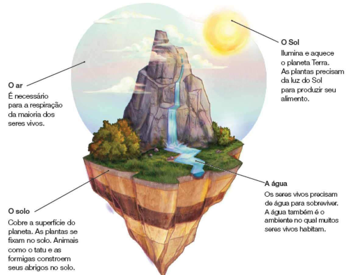 Imagem: Ilustração. Vista geral de local com céu de cor azul-claro, com partes em rosa, nuvens brancas e sol à direita de formato redondo em amarelo.  O sol : O Sol Ilumina e aquece o planeta Terra. As plantas precisam da luz do Sol para produzir seu alimento. O ar :  O ar É necessário para a respiração da maioria dos seres vivos.  Ao centro, uma grande montanha rochosa de cor cinza, por onde passa água de cor azul-claro. A água : Os seres vivos precisam de água para sobreviver. A água também é o ambiente no qual muitos seres vivos habitam.   À esquerda e à direita, solo com grama e vegetação de cor verde. Na parte inferior, solo de cor marrom-claro e mais abaixo em marrom-escuro.  O solo: Cobre a superfície do planeta. As plantas se fixam no solo. Animais como o tatu e as formigas constroem seus abrigos no solo.  Fim da imagem.