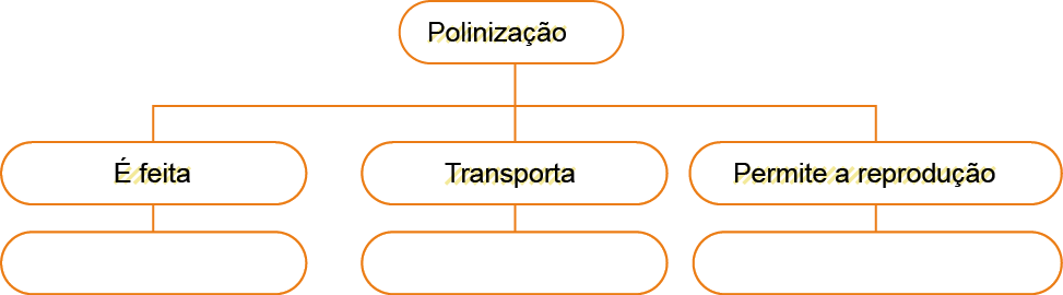 Imagem: Esquema. Polinização é feita: _____. Transporta: _____. Permite a reprodução: _____. Fim da imagem.