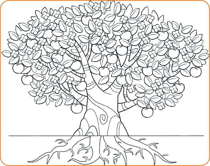 Imagem: Ilustração em preto e branco. Uma árvore grande com galhos ramificados com folhas pequenas e frutas redondas penduradas. Entre as folhas, flores de pétalas pequenas. Na parte inferior, raízes ramificadas.  Fim da imagem.