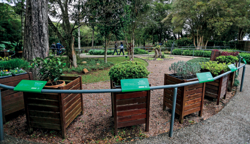 Imagem: Fotografia. Em um jardim, à frente, hastes de cor verde com placa da mesma cor, com texto branco, em corrimão arredondado de frente para mudas de plantas. Ao redor dela, forma quadrada de madeira perto de vaso de planta. Em segundo plano, o jardim com o caminho, árvores com folhas verdes.  Fim da imagem.