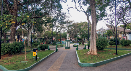 Imagem: Fotografia. Vista geral de uma praça com rua em cinza, à esquerda e à direita, local com grama verde e árvores com troncos em marrom. Na parte superior, céu diurno nublado branco.  Fim da imagem.