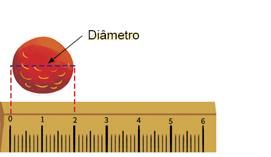 Imagem: Ilustração. Uma régua na horizontal de cor marrom-claro de 0 a 6, com linhas finas na vertical. Na parte superior, uma massa de modelar de cor vermelha com linha horizontal pontilhada de 0 – 2: Diâmetro.  Fim da imagem.