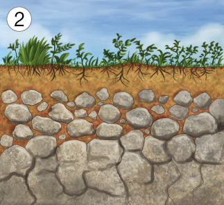 Imagem: Ilustração 2. Na parte inferior, solo rochoso cinza com parte superior com formatos arredondados, com o formato arredondado. Na parte superior, solo de cor marrom, com vegetação de cor verde. Na parte superior, céu de cor azul-claro com nuvens.  Fim da imagem.