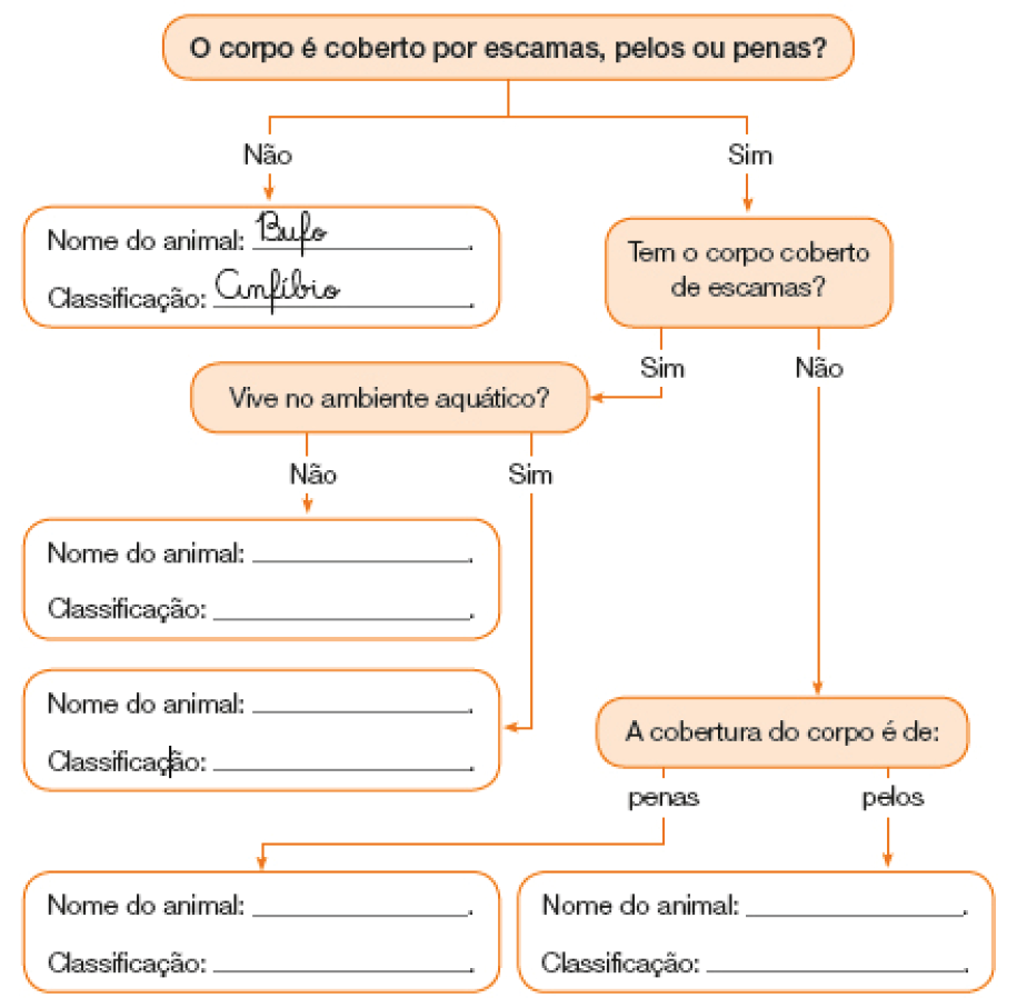 Imagem: Esquema. O corpo é coberto por escamas, pelos ou penas? Não. Nome do animal: Bufo. Classificação: Anfíbio. Sim.  Tem o corpo coberto de escamas? Sim. Vive no ambiente aquático? Não. Nome do animal: _____. Classificação: _____. Sim.  Nome do animal: _____. Classificação: _____. Tem o corpo coberto de escamas? Não.  A cobertura do corpo é de: penas. Nome do animal: _____. Classificação: _____. A cobertura do corpo é de: pelos. Nome do animal: _____. Classificação: _____. Fim da imagem.