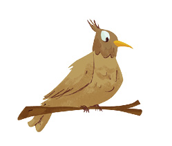 Imagem: Ilustração. Um pássaro de penas de cor marrom sobre galho marrom na horizontal, com olhos grandes e parte em preto, com bico fino em amarelo de tamanho médio.  Fim da imagem.