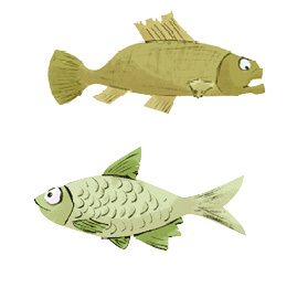 Imagem: À direita, dois peixes nadando em sentidos opostos. Um acima, para à direita, de cor bege-claro e outro para à esquerda, de cor cinza e partes em verde.  Fim da imagem.