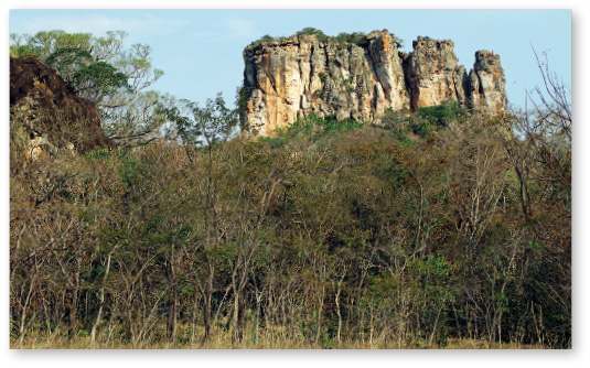 Imagem: Fotografia. À frente, plantas secas com troncos e galhos finos ramificados, com folhas verdes na parte superior. Mais ao fundo, morro grande com paredes de cor bege-claro e partes em cinza. Na parte superior, céu de cor azul-claro.  Fim da imagem.