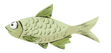 Imagem: Ilustração. Um peixe de tamanho médio, de cor verde, com olhos bem grandes e boca fechada, com barbatanas em verde e cauda pequena. Fim da imagem.