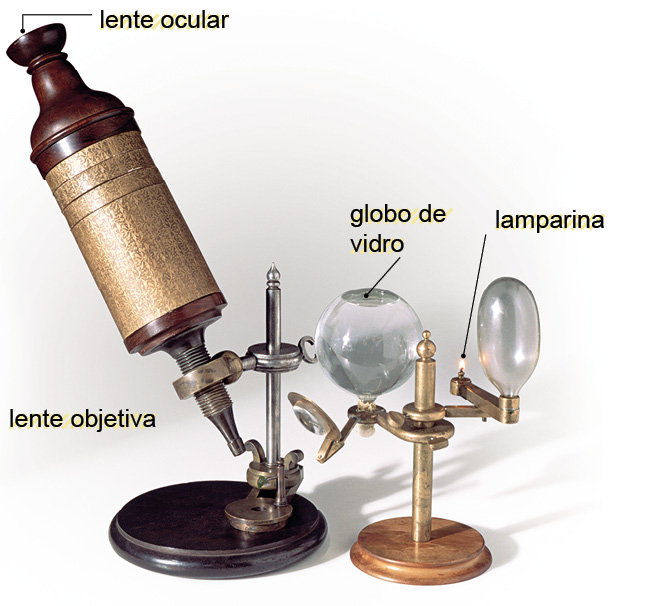 Imagem: Fotografia. Um microscópio antigo. À esquerda, uma forma tubular na diagonal em marrom-escuro, com ponta superior arredondado com : lente ocular. Na parte inferior, tubo fino na vertical de cor cinza : lente objetiva. Parte sobre base arredondada em marrom-escuro. Ao centro, haste fina na vertical de cor prata e à direita, globo transparente : globo de vidro e à direita, outra bola mais fina transparente e perto, haste na horizontal : lamparina. Na parte inferior, base na vertical de cor marrom e ponta de baixo arredondada na horizontal.  Fim da imagem.