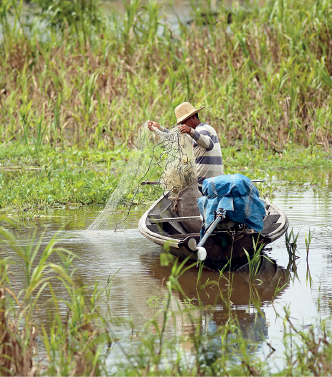 Imagem: Fotografia. Em local com rio marrom, cercado de vegetação verde, com hastes na vertical e sobre a água, folhas flutuando. Ao centro, sobre o rio, canoa pequena de cor marrom, um homem de pele morena, com chapéu de cor bege, com blusa de mangas compridas em bege e cinza, segurando nas mãos, uma rede. Na ponta da canoa, com pano de cor azul-claro. Fim da imagem.