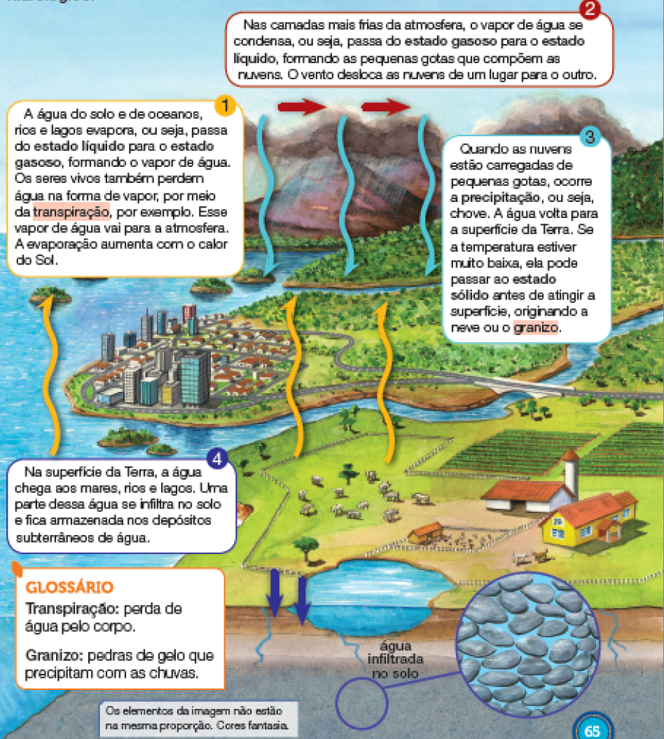 Imagem: Ilustração. Esquema. Ciclo da água. Vista geral de local com céu de cor azul-claro. Mais abaixo, nuvens de cor cinza, com flechas para à direita, e chuva caindo sobre local com vegetação verde e mar. Setas amarela saindo do oceano para cima.  Texto: 1 - A água do solo e de oceanos, rios e lagos evapora, ou seja, passa do estado líquido para o estado gasoso, formando o vapor de água. Os seres vivos também perdem água na forma de vapor, por meio da transpiração, por exemplo. Esse vapor de água vai para a atmosfera. A evaporação aumenta com o calor do Sol.  2 - Nas camadas mais frias da atmosfera, o vapor de água se condensa, ou seja, passa do estado gasoso para o estado líquido, formando as pequenas gotas que compõem as nuvens. O vento desloca as nuvens de um lugar para o outro. 3 - Quando as nuvens estão carregadas de pequenas gotas, ocorre a precipitação, ou seja, chove. A água volta para a superfície da Terra. Se a temperatura estiver muito baixa, ela pode passar ao estado sólido antes de atingir a superfície, originando a neve ou o granizo.  Em local com grama verde, à esquerda, perto do mar, cidade composta por casas, prédios altos e à frente, à direita, campo com grama, criação de animais de pelos brancos, com setas amarelas para cima, fazenda e ao fundo plantações. Ao centro, rio de água de cor azul-claro:  água infiltrada no solo, com duas setas azuis para dentro.  Mais ao fundo, pedras com água.  Texto:  Na superfície da Terra, a água chega aos mares, rios e lagos. Uma parte dessa água se infiltra no solo e fica armazenada nos depósitos subterrâneos de água.   Fim da imagem.