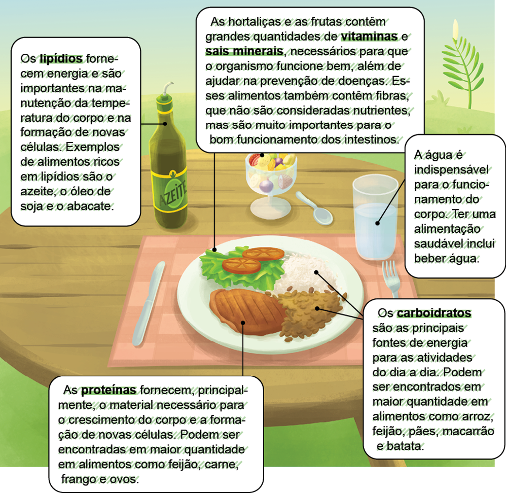 Imagem: Ilustração. Parte inferior com mesa de madeira marrom redonda, com alimentos sobre ela. À esquerda, uma garrafa verde de azeite, com etiqueta em verde e amarelo. Texto:  Os lipídios fornecem energia e são importantes na manutenção da temperatura do corpo e na formação de novas células. Exemplos de alimentos ricos em lipídios são o azeite, o óleo de soja e o abacate. À direita, pano quadrado rosa e em cima, prato branco redondo com salada, tomates e à frente, uma taça com salada de frutas.  Texto:  As hortaliças e as frutas contêm grandes quantidades de vitaminas e sais minerais, necessários para que o organismo funcione bem, além de ajudar na prevenção de doenças. Esses alimentos também contêm fibras, que não são consideradas nutrientes, mas são muito importantes para o bom funcionamento dos intestinos. Ainda no prato, um pedaço de carne de cor marrom, arredondado. Texto: As proteínas fornecem, principalmente, o material necessário para o crescimento do corpo e a formação de novas células. Podem ser encontradas em maior quantidade em alimentos como feijão, carne, frango e ovos. Grãos de arroz e feijão. Texto:  Os carboidratos são as principais fontes de energia para as atividades do dia a dia. Podem ser encontrados em maior quantidade em alimentos como arroz, feijão, pães, macarrão e batata. Perto do prato, talheres de cor cinza e na ponta da direita, copo transparente com água. Texto: A água é indispensável para o funcionamento do corpo. Ter uma alimentação saudável inclui beber água. Ao fundo, lugar com grama verde e à direita, planta na vertical com folhas verdes. Na parte superior, céu de cor azul-claro.   Fim da imagem.