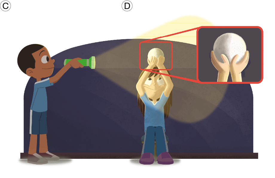 Imagem: Ilustração. À esquerda, Horácio na mesma posição descrita anteriormente e à direita, Selene em pé, segurando bola branca, olhando para o alto. A luz da lanterna que Horácio segura, se reflete para à direita, com sombra da metade para à direita, sombra. Mais à direita, foco nas mãos a bola branca com sombra da metade para à esquerda e parte branca da metade para à direita.  Texto: C- Depois, Selene girou lentamente para a direita, até ficar de lado para Horácio. Texto: D- Agora, Selene vê que só a metade direita da bola fica iluminada. Essa situação corresponde ao Quarto Minguante.  Fim da imagem.