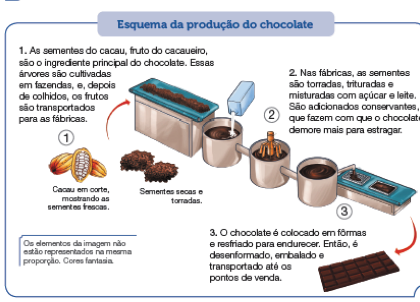 Imagem: Ilustração. Esquema da produção do chocolate.  1 – Três gomos de cor laranja arredondada, um aberto com sementes pequenas de cor branca.  Legenda:   Texto:  1. As sementes do cacau, fruto do cacaueiro, são o ingrediente principal do chocolate. Essas árvores são cultivadas em fazendas, e, depois de colhidos, os frutos são transportados para as fábricas. Objeto retangular de cor cinza com sementes em marrom sobre base na horizontal em azul.  Legenda: Sementes secas e torradas. Segue em base redonda cinza com sementes dentro em marrom e caixa de leite azul sobre o recipiente. 2 - Em recipiente do mesmo formato e cor, sementes em marrom e objeto em cima laranja como mini batedor. Texto: 2. Nas fábricas, as sementes são torradas, trituradas e misturadas com açúcar e leite. São adicionados conservantes, que fazem com que o chocolate demore mais para estragar. Em outro recipiente redondo e cinza, chocolate pastoso sai por pequeno cano na horizontal, em direção a duas forminhas de cor azul, com formato de tabletes.  Texto:  3. O chocolate é colocado em fôrmas e resfriado para endurecer. Então, é desenformado, embalado e transportado até os pontos de venda. Um tablete de chocolate de cor marrom, com formato retangular, com pequenos retângulos.   Fim da imagem.