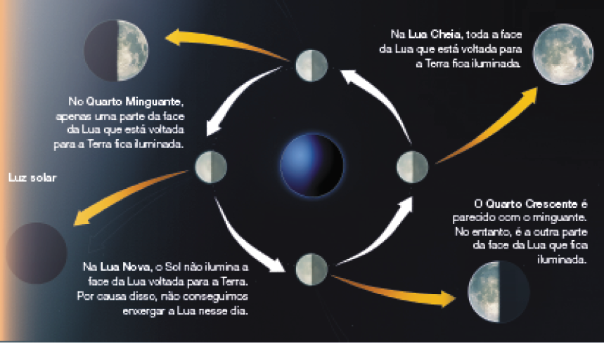 Imagem: Ilustração. Em fundo preto, à esquerda, luz solar: ao centro, esfera redonda em azul à esquerda e à direita, em preto. Ao redor, entre flechas brancas quatro esferas pequenas com metade da esquerda em cinza-claro e à direita, cinza mais escuro. Ao redor, flechas laranjas para fases diferentes da lua. Em sentido anti-horário: Lua redonda com a metade para esquerda em preto e da metade para à direita em cinza, com manchas em cinza-escuro. Texto:  No Quarto Minguante, apenas uma parte da face da Lua que está voltada para a Terra fica iluminada. Lua redonda toda em preto. Texto:  Na Lua Nova, o Sol não ilumina a face da Lua voltada para a Terra. Por causa disso, não conseguimos enxergar a Lua nesse dia. Lua redonda com a metade para à esquerda de cor cinza-claro, com cinza-escuro e da metade para à direita, parte escura.  Texto:  O Quarto Crescente é parecido com o minguante. No entanto, é a outra parte da face da Lua que fica iluminada. Lua redonda de cor cinza-claro com partes em cinza-escuro. Texto:  Na Lua Cheia, toda a face da Lua que está voltada para a Terra fica iluminada.  Fim da imagem.