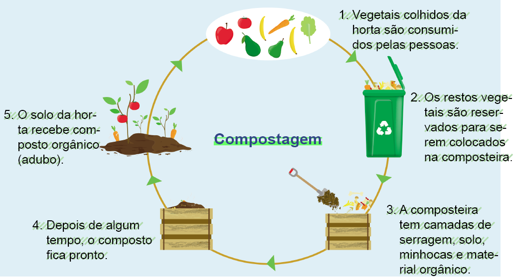 Imagem: Ilustração. Esquema. Compostagem.  Na parte superior, sentido horário: vegetais e frutas: maçã, tomate vermelhos, duas bananas amarelas, folha e outros dois elementos em verde. Texto: 1. Vegetais colhidos da horta são consumidos pelas pessoas. Uma lixeira aberta de cor verde com restos de comida, vegetais e na parte inferior da lixeira, símbolo de reciclagem em branco.  Texto: 2. Os restos vegetais são reservados para serem colocados na composteira. Uma caixa de cor bege com restos de comida e uma pá com terra marrom. Texto: 3. A composteira tem camadas de serragem, solo, minhocas e material orgânico. Uma caixa grande de cor bege com solo marrom. Texto: 4. Depois de algum tempo, o composto fica pronto. Terra de cor marrom com plantas com folhas verdes, tomates vermelhos e duas cenouras na vertical.  Texto:  5. O solo da horta recebe composto orgânico (adubo).  Fim da imagem.