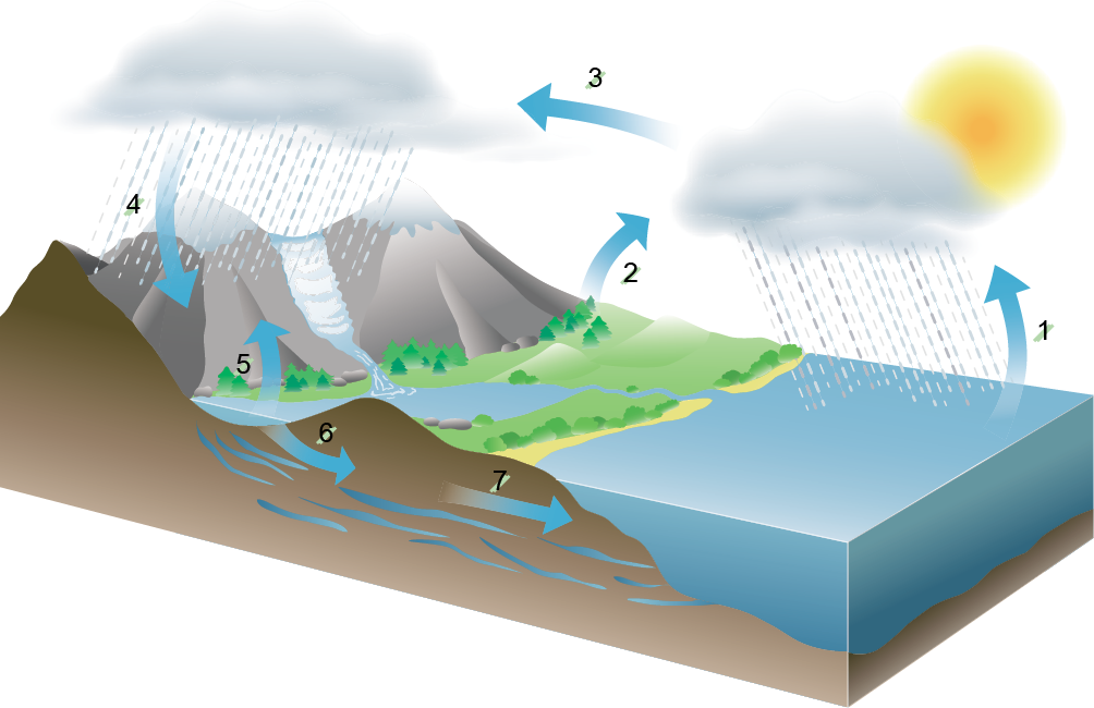 Imagem: Ilustração. Esquema. Na parte inferior, solo de cor cinza, com a parte maior à esquerda, onde há montanhas rochosas. À direita, fase 1, água em azul-claro. Flecha para o alto com nuvem caindo gotas de chuvas sobre o mar e à direita, sol amarelo. À esquerda, local com vegetação verde, fase 2. Mais à esquerda, sobre montanhas, nuvem por onde cai gotas de água, fase 3. As gotas de água descem sobre montanha, fase 4. De frente para montanhas, água de rio indo para o mar, fase 5. Na parte inferior, solo por onde passa água, fase 6. Mais à frente, água indo para o mar, fase 7.  Fim da imagem.