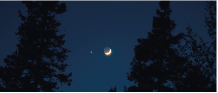 Imagem: Fotografia. Vista de baixo para cima, à esquerda e à direita, sombra de vegetação em tons de preto. Ao centro, uma lua pequena com o formato similar da letra C, invertido em bege-claro.  Fim da imagem.