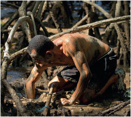 Imagem: Fotografia. Um homem de pele morena, cabelos pretos, sem camiseta, com bermuda cinza, agachado com joelhos sobre solo marrom. Ele está com a mão esquerda dentro do solo. Sobre o corpo dele, manchas em cinza e ao redor dele, raízes de árvore compridas em marrom, com parte arredondadas.  Fim da imagem.