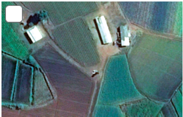 Imagem: Fotografia. Vista do alto de local com vegetação rasteira de cor verde-escuro, com dois galpões grandes e um pequeno à esquerda, perto de árvores. À frente, uma caixa d’água vista do alto de tamanho pequeno. Fim da imagem.