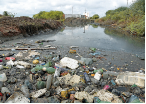 Imagem: Fotografia. Rua de com lama de cor cinza, com rio em marrom e à frente, dejetos espalhados: garradas plásticas em verde, cinza, latas e outros materiais plásticos em meio a pedras. À esquerda e à direita, borda do rio com solo marrom, vegetação verde e em segundo plano, vegetação de folhas em verde-claro. No alto, céu em azul-claro com nuvens brancas.  Fim da imagem.