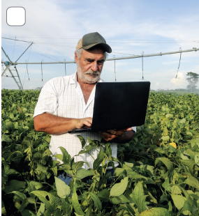 Imagem: Fotografia. Dentro de local com plantação com folhas de cor verde até a cintura. Ao centro, um senhor de pele clara, cabelos e barba grisalhos, com camiseta de cor branca, com notebook preto sobre a mão direita dele e mão esquerda sobre notebook. Sobre a cabeça, um boné de cor cinza. Mais ao fundo, base de ferro na horizontal e hastes na vertical perto das folhas verdes. Na ponta da esquerda, estrutura de ferro na vertical. No alto, céu azul com nuvens brancas.  Fim da imagem.