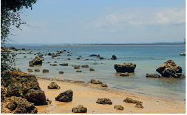 Imagem: Fotografia. À esquerda, vista parcial de folhas de vegetação e areia de cor bege-claro com muitas pedras de cor marrom na areia e outras no mar, à direita, com água de cor azul. No alto, céu azul-claro com poucas nuvens brancas à direita.  Fim da imagem.