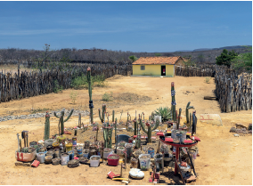 Imagem: Fotografia. Local com solo de cor marrom-claro, arenoso, com cactos de cor verde com potes com texto e alguns com cactos. Em segundo plano, uma casa de paredes de cor amarela, com telhado de cor marrom-claro. À esquerda e à direita, cercado com vegetação seca de cor marrom. No alto, céu em azul-claro com nuvens bem ralas de cor branca à esquerda.  Fim da imagem.