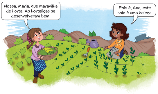 Imagem: Ilustração. Local com grama de cor verde-claro, com pés de alface à esquerda e à direita, folhas pequenas de cor verde-escuro. À frente, menina de pele clara, cabelos castanhos com franja, lenço roxo sobre os cabelos, com blusa de mangas compridas em lilás, calça azul, avental em azul-claro e linhas em azul-escuro. Ela diz: NOSSA, MARIA, QUE MARAVILHA DE HORTA! AS HORTALIÇAS SE DESENVOLVERAM BEM. À direita, vegetação com folhas pequenas em verde-escuro, com um regador de cor cinza, garfo em cinza e cabo de madeira. Mais à direita, menina agachada de joelhos. Ela tem pele morena, cabelos curtos em castanho-escuro, com blusa de mangas compridas em laranja, com lenço de cor bege sobre pescoço, calça azul, com avental de cor cinza, com pá na mão direita de cor cinza, com cabo de madeira. Ela diz: POIS É, ANA, ESTE SOLO É UMA BELEZA. Em segundo plano, morros de cor marrom, com poucas vegetações em verde. Na ponta da direita, silhueta de casas de cor cinza. No alto, céu em azul-claro.  Fim da imagem.