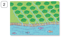 Imagem: Ilustração 2. O mesmo local descrito anteriormente, gotas d’águas sobre solo, com quedas de água no solo entre os pés de alface em direção do rio a frente. Fim da imagem.