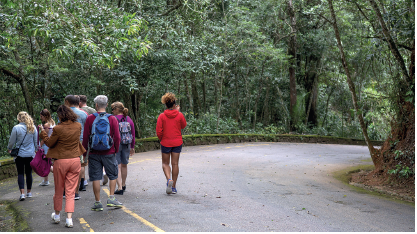 Imagem: Fotografia. Passando em uma estrada com rua de cor cinza, curvada para à direita. À esquerda, dezenas de pessoas vistas de costas, caminhando para o fundo. Nas extremidades à esquerda e à direita, acostamento com árvores de folhas verdes. Fim da imagem.