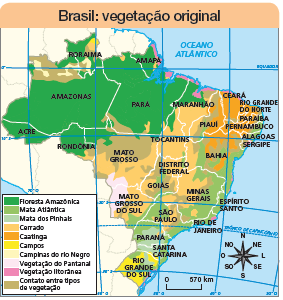 Imagem: Ilustração. Mapa. Brasil: vegetação original.  Rosa dos ventos com sentidos: N, NO, O, SO, S, SE, L, NE. Escala: 0 – 570 km Legenda: Verde-escuro: Floresta Amazônica Verde-claro: Mata atlântica Azul-claro: Mata dos Pinhais Laranja-claro: Cerrado Laranja-escuro: Caatinga Amarelo: Campos Bege-claro: Campinas do rio Nigro Lilás: Vegetação do Pantanal Rosa: Vegetação  Marrom: Contato entre tipos de vegetação.  Roraima: região noroeste com floresta amazônica e à nordeste, campos, cerrado e abaixo, contato entre tipos de vegetação e Campinas do rio Negro. Amazonas: Ao norte, cerrado, contato entre tipos de vegetação e Campinas do rio Negro. A maior parte é composta por Floresta Amazônica. Acre: composta por floresta amazônica.  Rondônia: grande parte composta por floresta amazônica e sudeste com cerrado e contato entre tipos de vegetação.  Pará: Grande parte composta por floresta amazônica, com pequena parte no norte e sul com cerrado e ao sul, pequenas partes com contato entre tipos de vegetação. Ao norte, pequena parte com campos e vegetação litorânea. Amapá: Grande parte composta por floresta amazônica, e a leste, faixas finas com campos e vegetação litorânea.  Maranhão: norte composto por floresta amazônica, parte pequena composta com vegetação litorânea. Mais ao nordeste parte com contato entre tipos de vegetação. Do centro para baixo, composto por cerrado. Tocantins: grande parte composta por cerrado e na parte superior, pequena faixa de floresta amazônica. Mato Grosso: Na parte superior, do centro para cima: contato entre tipos de vegetação. Do centro para baixo, grande parte com cerrado e pouca parte no sudoeste com vegetação do Pantanal. Mato Grosso do Sul: oeste com vegetação do Pantanal, à leste, cerrado e na parte inferior, no sul, mata atlântica. Goiás Distrito Federal: grande parte composta por contato entre tipos de vegetação, pequena parte com mata atlântica e contornando a região e ao norte: cerrado. Piauí: à oeste, pequena parte com cerrado, ao centro: contato entre tipos de vegetação e na ponta oeste, caatinga. Ceará: grande parte composta por caatinga e pequena parte no sul com contato entre tipos de vegetação. Rio grande do norte: grande parte composta por caatinga. Paraíba: grande parte composta por caatinga e ponta leste com mata atlântica. Pernambuco: grande parte composta por caatinga e parte à leste com mata atlântica. Alagoas: à oeste composto por caatinga e à leste composto por mata atlântica.  Sergipe: grande parte composta por vegetação litorânea. Bahia: do centro ao norte, partes com caatinga e contato entre tipos de vegetação. Do centro para baixa: mata atlântica.  Minas Gerais: a noroeste: cerrado à leste em mata atlântica, pequena parte ao centro com contato entre tipos de vegetação e à leste, grande parte composta por mata atlântica.  Espírito Santo: Grande parte composta por mata atlântica e pequena parte composta por vegetação litorânea.  Rio de janeiro: Grande parte composta por mata atlântica e pequena parte composta por vegetação litorânea. São Paulo: à oeste e à leste: mata atlântica, ao centro, penas partes com cerrado e outra parte menor com contato entre tipos de vegetação. Paraná: no norte: mata atlântica e ao centro e grande parte na parte inferior com Mata dos Pinhais. Santa Catarina: à oeste com mata dos Pinhais e na ponta leste: mata atlântica.  Rio grande do sul: grande parte do centro-oeste com campos, pequena parte superior com mata atlântica e pequena parte no norte com mata dos Pinhais.   Fim da imagem.