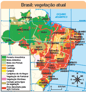 Imagem: Ilustração. Mapa. Brasil: vegetação atual. Rosa dos ventos com sentidos: N, NO, O, SO, S, SE, L, NE. Escala: 0 – 570 km Legenda: Verde-escuro: Floresta Amazônica Verde-claro: Mata atlântica Azul-claro: Mata dos Pinhais Laranja-claro: Cerrado Laranja-escuro: Caatinga Amarelo: Campos Bege-claro: Campinas do rio Nigro Lilás: Vegetação do Pantanal Rosa: Vegetação  Marrom: Contato entre tipos de vegetação.  Vermelho: área devastada pela ação humana. Roraima: região noroeste com floresta amazônica e à nordeste, campos, cerrado e abaixo, contato entre tipos de vegetação e Campinas do rio Negro. Amazonas: Ao norte, cerrado, contato entre tipos de vegetação e Campinas do rio Negro. A maior parte é composta por Floresta Amazônica. Poucas partes ao centro com: área devastada pela ação humana.  Acre: composta por floresta amazônica. Mais à leste:  área devastada pela ação humana.  Rondônia: composta por floresta amazônica e sudeste com cerrado e contato entre tipos de vegetação. Grande parte com:  área devastada pela ação humana.  Pará: Grande parte composta por floresta amazônica, com pequena parte no norte e sul com cerrado e ao sul, pequenas partes com contato entre tipos de vegetação. Ao norte, pequena parte com campos e vegetação litorânea. Ao centro e ao norte:  área devastada pela ação humana.  Amapá: Grande parte composta por floresta amazônica, e a leste, faixas finas com campos e vegetação litorânea. Pequena parte no sul:  área devastada pela ação humana.  Maranhão: norte composto por pequena parte com floresta amazônica, parte pequena composta com vegetação litorânea. Mais ao nordeste parte com: área devastada pela ação humana. Do centro para baixo, composto por cerrado. Tocantins: grande parte composta por cerrado e na parte superior, pequena faixa: área devastada pela ação humana.  Mato Grosso: Na parte superior, do centro para cima: contato entre tipos de vegetação. Do centro para baixo, grande parte com cerrado e pouca parte no sudoeste com vegetação do Pantanal. Mato Grosso do Sul: oeste com vegetação do Pantanal, à leste, cerrado e na parte inferior, no sul, mata atlântica. Grande parte do centro para sudoeste com: área devastada pela ação humana.  Goiás Distrito Federal: grande parte composta por: área devastada pela ação humana, e contornando a região e ao norte: cerrado. Piauí: à oeste, pequena parte com cerrado, ao centro: contato entre tipos de vegetação e na ponta oeste, caatinga e área devastada pela ação humana.  Ceará: grande parte composta por caatinga e pequena parte no sul com contato entre tipos de vegetação e área devastada pela ação humana.  Rio grande do norte: grande parte composta por caatinga e área devastada pela ação humana.  Paraíba: grande parte composta por caatinga e ponta leste com área devastada pela ação humana.  Pernambuco: grande parte composta por caatinga e parte à leste área devastada pela ação humana.  Alagoas: à oeste composto por caatinga e à leste composto por área devastada pela ação humana.  Sergipe: grande parte composta por área devastada pela ação humana.  Bahia: do centro ao norte, partes com caatinga e contato entre tipos de vegetação. Do centro para baixa:  área devastada pela ação humana.  Minas Gerais: a noroeste: cerrado à leste em mata atlântica, pequena parte ao centro com contato entre tipos de vegetação e à leste, grande parte composta por: área devastada pela ação humana.  Espírito Santo: Grande parte composta: área devastada pela ação humana e pequena parte composta por vegetação litorânea.  Rio de janeiro: Grande parte composta por mata atlântica e pequena parte composta por vegetação litorânea e: área devastada pela ação humana. São Paulo: à oeste: área devastada pela ação humana e parte pequena à leste: mata atlântica. Paraná: à oeste: área devastada pela ação humana e parte pequena à leste: mata atlântica. Santa Catarina: à oeste com mata dos Pinhais e na ponta leste: área devastada pela ação humana. Rio grande do sul: grande parte do centro-oeste com campos, grande parte com área devastada pela ação humana e pequena parte no norte com mata dos Pinhais.   Fim da imagem.